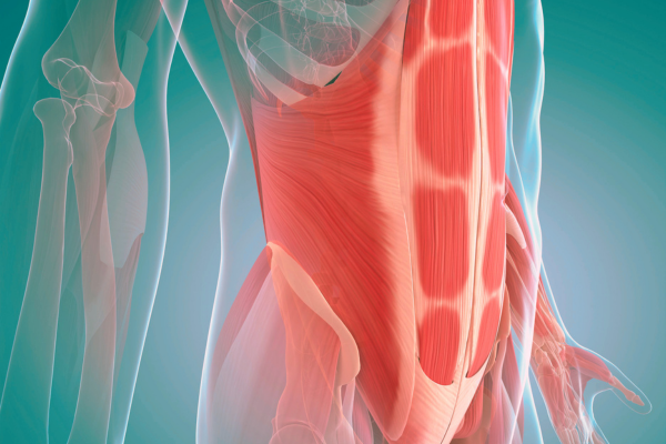 Diastasis Recti Repair - Dr Matthew Peters | Brisbane Specialist Plastic Surgeon - 3